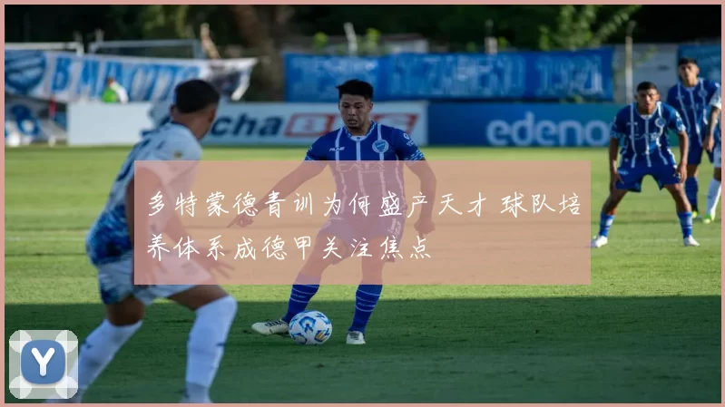 多特蒙德青训为何盛产天才 球队培养体系成德甲关注焦点