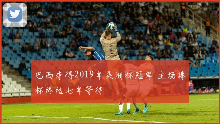 巴西夺得2019年美洲杯冠军 主场捧杯终结七年等待