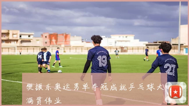 樊振东奥运男单夺冠成就乒乓球大满贯伟业