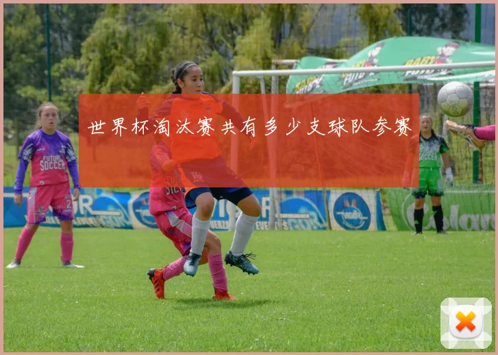世界杯淘汰赛共有多少支球队参赛